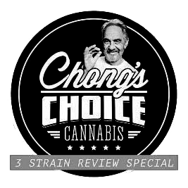 chong's choice cannabis